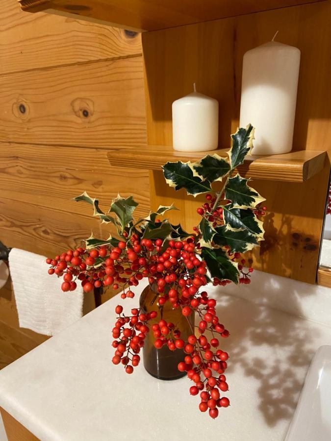 Chalet B&B Laghetti Martina Crevalcore Εξωτερικό φωτογραφία